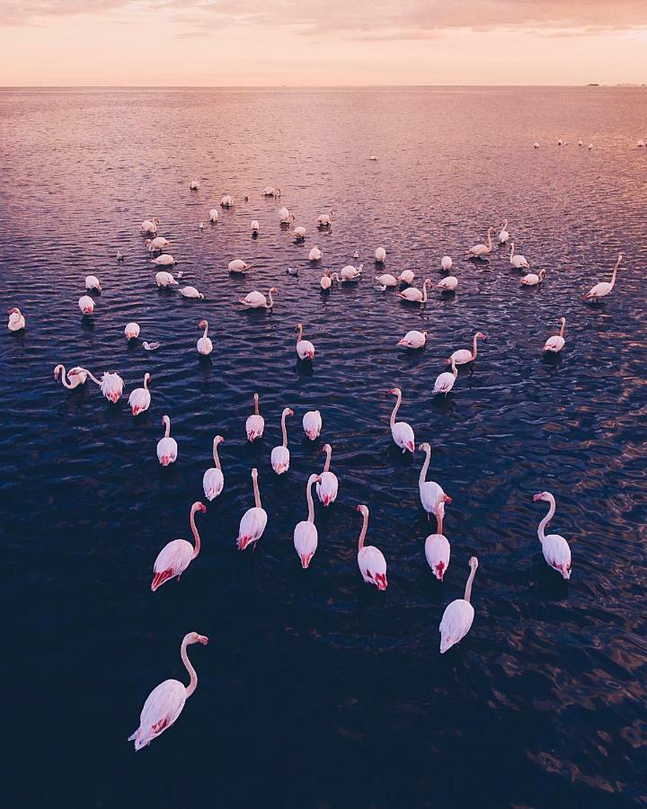 Villa Fernweh - Delta De L'Ebre Риумар Экстерьер фото